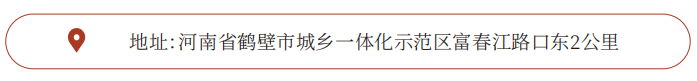 31.png